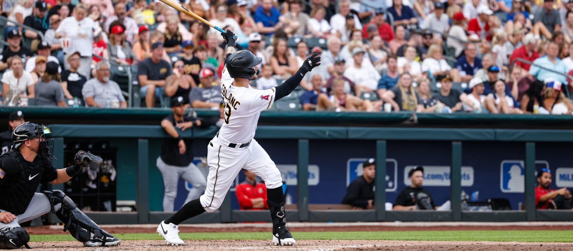 Baseball Batter Salt Lake Bees